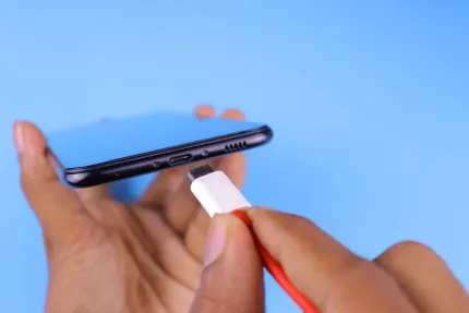 Casino Mobile Wins Aip Soghluaiste